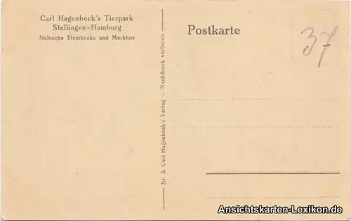 0 Nubische Steinböcke und Markhor