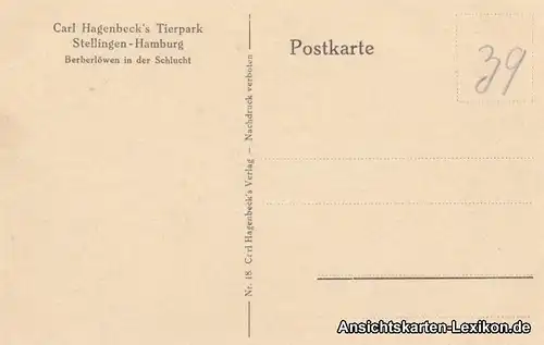 0 Berberlöwen in der Schlucht