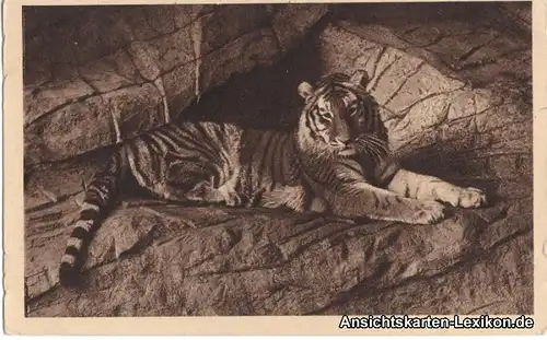 0 Tigerschlucht