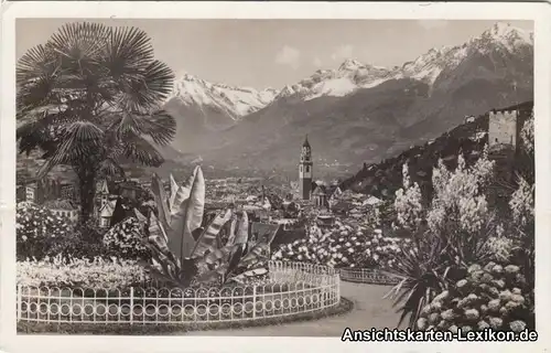 Cartoline Meran Merano Panorama di Merano g1940