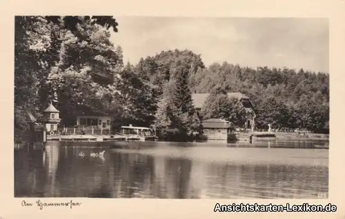 Hammer am See Restaurant am See - Foto AK