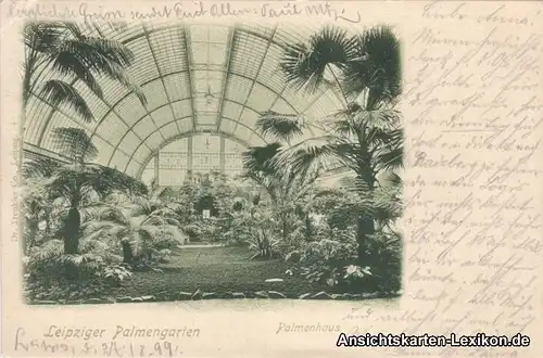 Leipzig Palmengarten - Palmenhaus innen