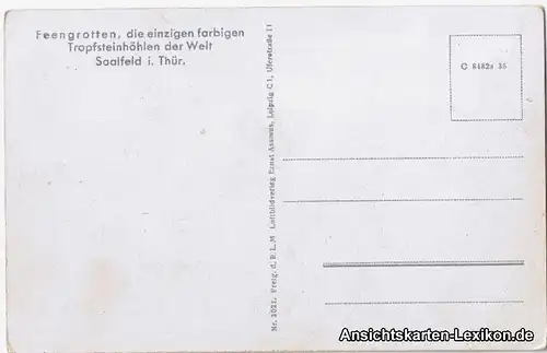 Ansichtskarte Saalfeld (Saale) Fliegeraufnahme Feengrotte 1935