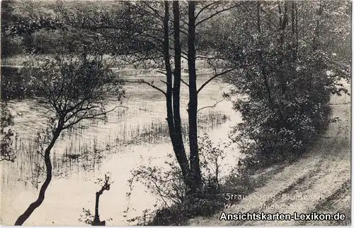 Strausberg Blumental - Weg am Ihland See