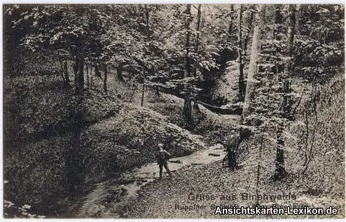 Ansichtskarte Binenwalde-Neuruppin Ruppiner Schweiz - Der Binenbach 1910