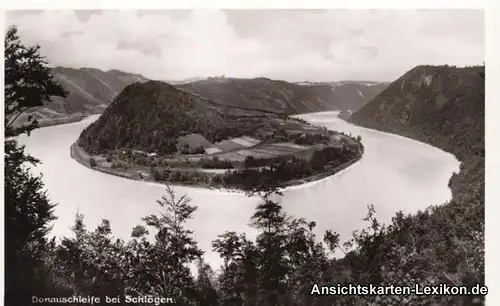 Schlögen :: Haibach ob der Donau Donauschleife Ansichtskarte 1943