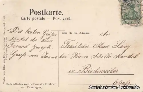 Baden-Baden vom Schloß aus gesehen