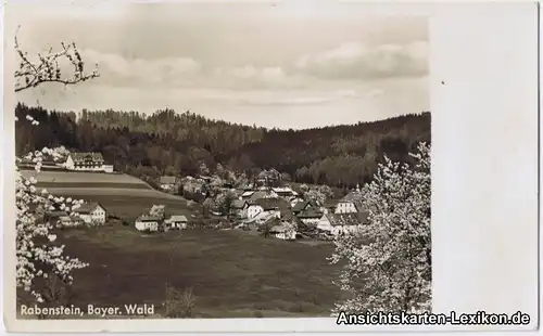 Foto Ansichtskarte Rabenstein Zwiesel Totale b Regen Deg