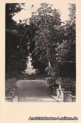 Foto Amsichtskarte Rheinsberg Blick zum Leuchtturm 1961