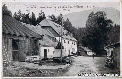Ansichtskarte Zwiesel  Waldhaus b Cham Regen  c1917