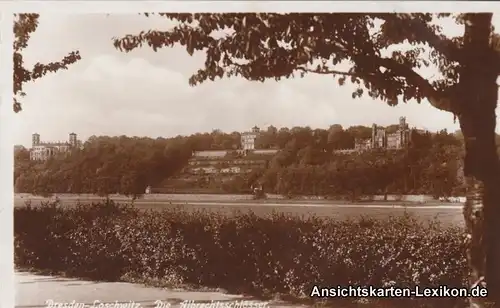 Foto Ansichtskarte Dresden Blick auf die Albrechtschlöße