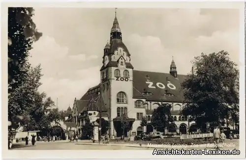 Foto Ansichtskarte Leipzig Zoo mit Kongreßhalle 1954