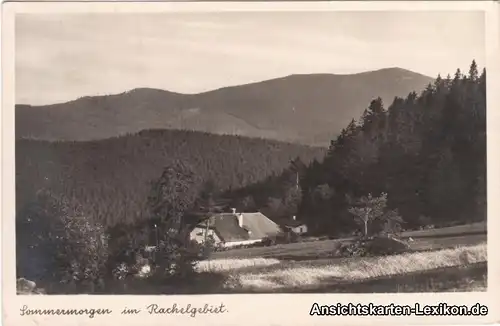 Foto Ansichtskarte Zwiesel Blick von den Waldhäusern 100