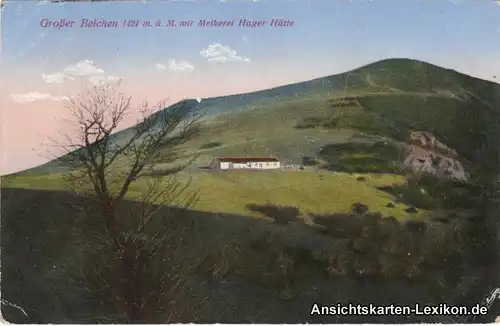 Ansichtskarte Hartmannsweiler Großer Belchen mit Melkere
