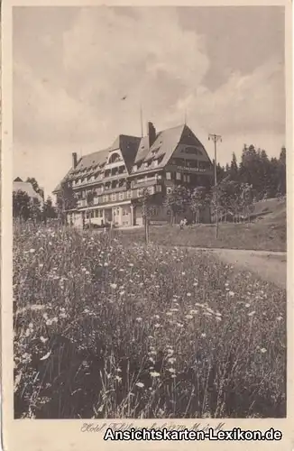 Ansichtskarte Titisee-Neustadt Hotel Feldbergerhof 1279