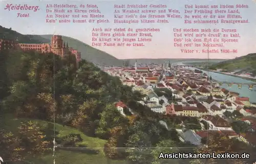 Heidelberg Leporello Ansichtskarte - ua Fass und Panoram