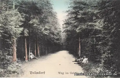Volksdorf Hamburg colorierte Ansichtskarte 1907