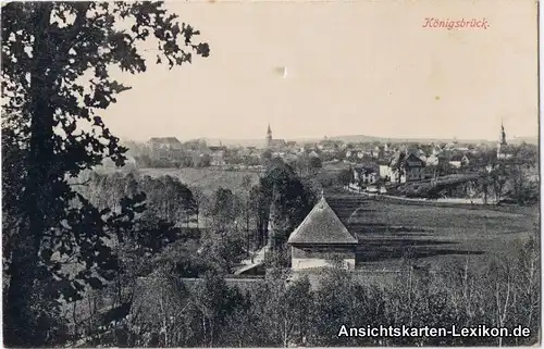 Ansichtskarte Königsbrück Kinspork Blick über die Stadt 1914