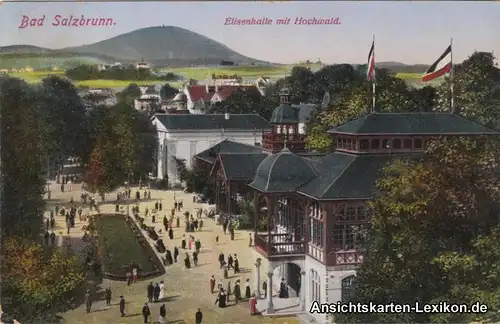 Ansichtskarte Bad Salzbrunn Elisenhalle mit Hochwald Szc
