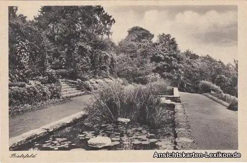 Ansichtskarte Bielefeld Botanischer Garten c1940