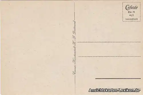 Ansichtskarte Bielefeld Botanischer Garten c1940