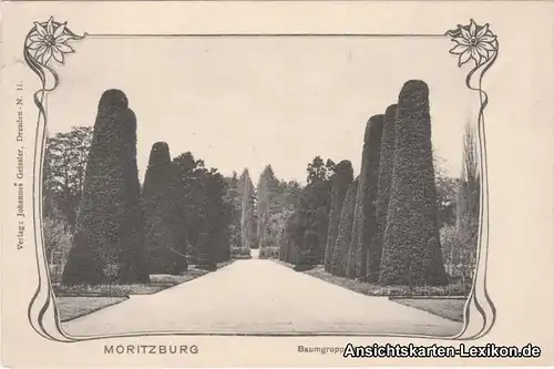 Moritzburg Baumgruppe im Kgl. Garten Jugendstil Ansichts