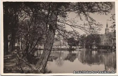 Foto Ansichtskarte Pulsnitz Partie am Schloßteich b Kame