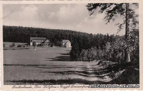 Ansichtskarte Holzau Rechenberg-Bienenmühle Partie an de