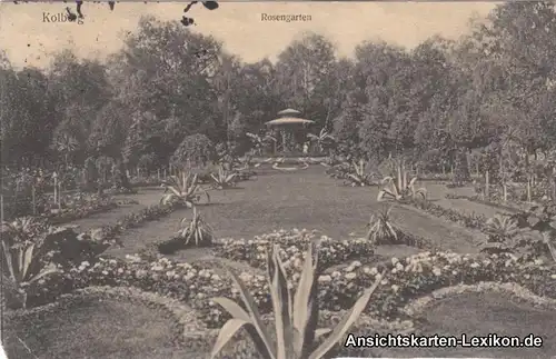 Ansichtskarte Kolberg Partie im Rosengarten Kołobrz