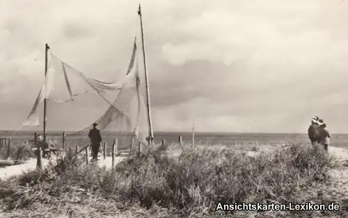 Foto Ansichtskarte Ahlbeck (Usedom) Blick auf das Meer b