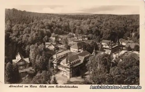 Ansichtskarte Harzgerode-Alexisbad Blick vom Birkenhäusc
