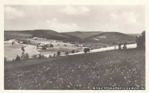 Ansichtskarte Altenberg (Sachsen)-Schellerhau Umlandpart