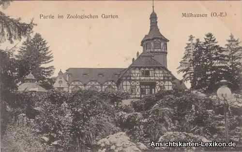 GPC Ansichtskarte Mülhausen Elsaß Partie am Zoologischen