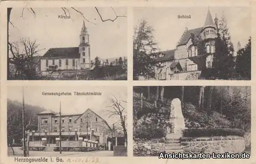 Herzogswalde 4 Bild: Kirche, Schloß, Genesungsheim und K