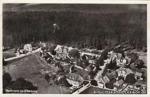 Hahnenklee-Bockswiese Luftbild: Stadtansicht