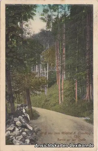 Eisenberg (Thüringen) Gruß aus dem Mühltal  - Partie an 