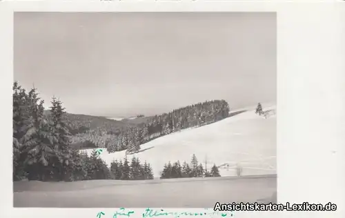 Altenberg (Sachsen) Blick ins Gimmlitztal