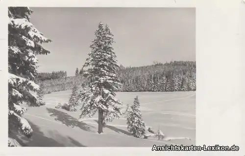 Altenberg (Sachsen) Gimmlitztal im Winter