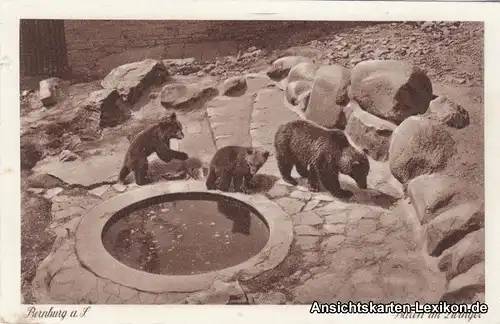 Bernburg (Saale) Bären im Zwinger
