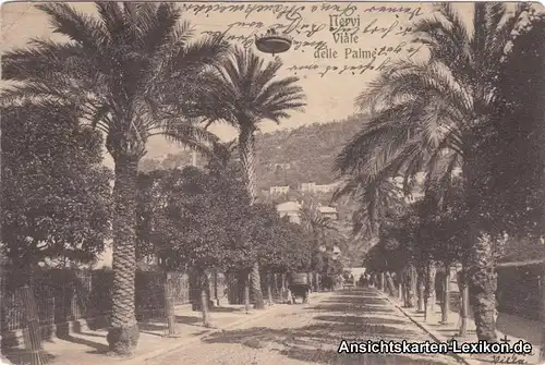 Postcard Ansichtskarte Genua Nervi Palmenallee Genoa Lig