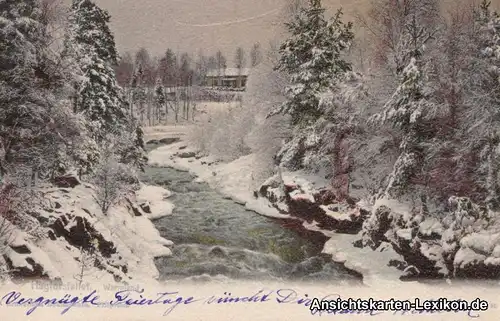 Hagfors  Umlandpartie im Winter Sevige Wermland Postcard 1906