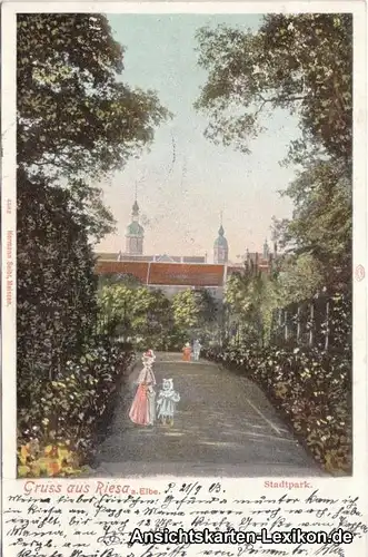 Riesa Partie im Stadtpark Ansichtskarte 1903