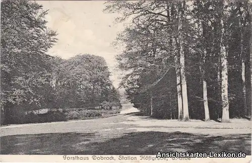 Wingst Dobrock Partie am Forsthaus Dobrock Ansichtskarte Lk Cuxhaven 1927