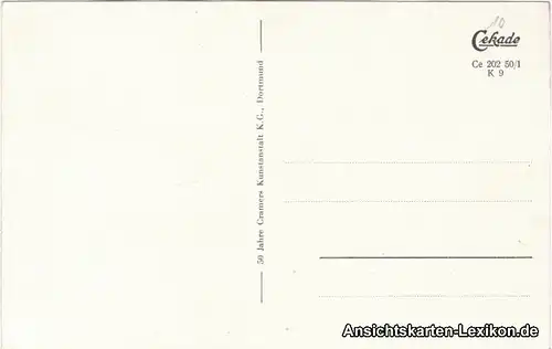 Ansichtskarte Celle Geschäfte - Großer Plan 1952