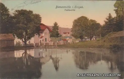 Ansichtskarte Rechenberg Bienenmühle Teichpartie b Holzh