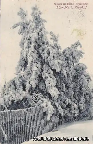 Altenberg (Sachsen)-Bärenfels Winter im Erzgebirge