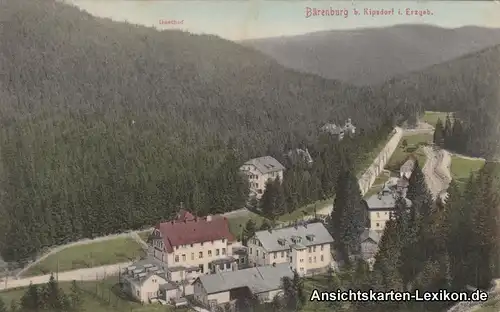 Ansichtskarte Kipsdorf-Altenberg (Erzgebirge) Straßenpartie 1906 