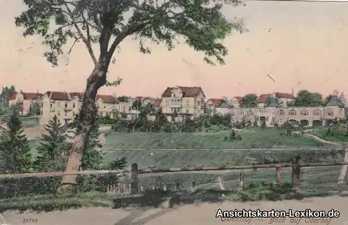 Ansichtskarte Oberhof (Thüringen) Stadt - Villen 1908 #