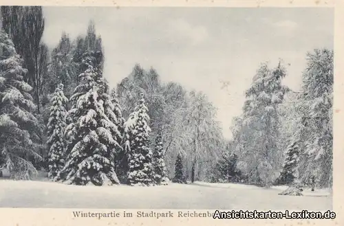 Reichenbach (Vogtland) Winterpartie im Stadtpark