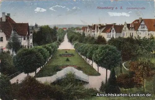 Ansichtskarte Naumburg Saale  Louisenstraße 1921